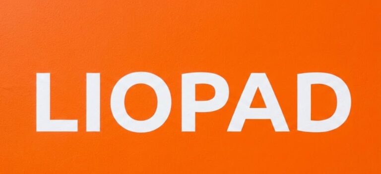 Liopad What is Liopad? The Rise of a Digital Identity